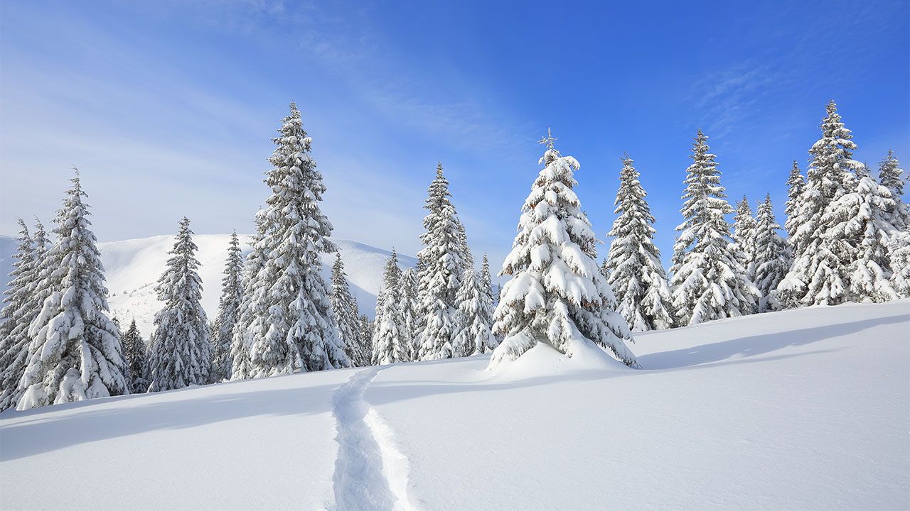 What Makes a Winter Coat Warm?